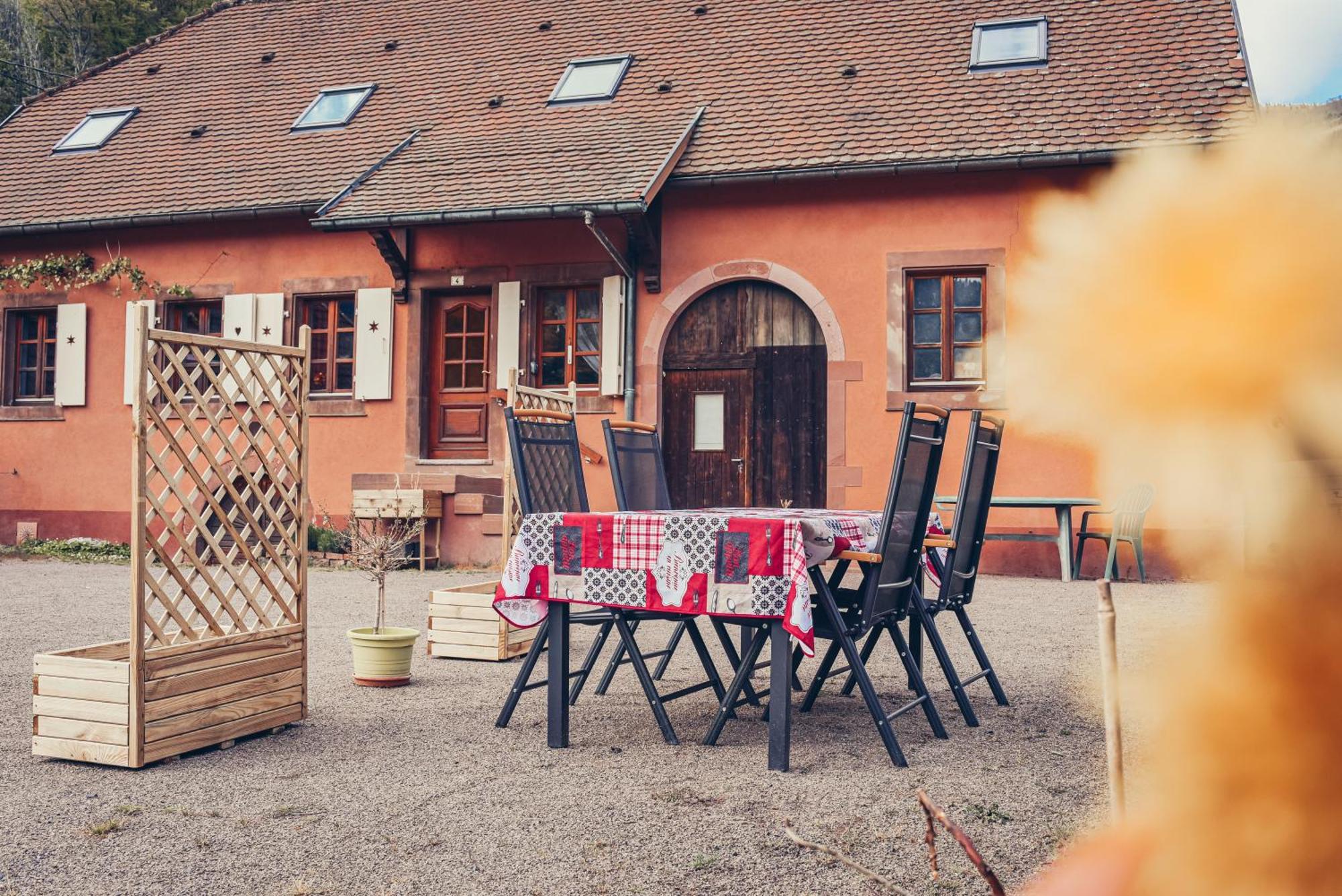 La Fermette Vosgienne De La Goutte Apartment Steige ภายนอก รูปภาพ