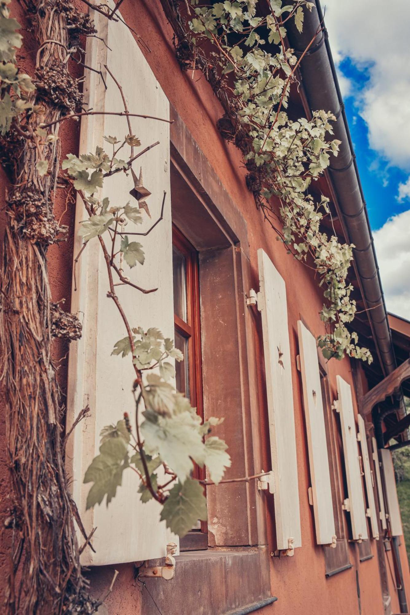 La Fermette Vosgienne De La Goutte Apartment Steige ภายนอก รูปภาพ