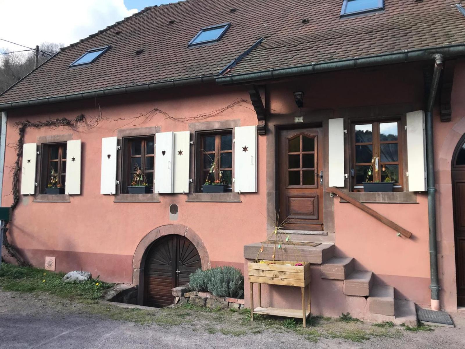 La Fermette Vosgienne De La Goutte Apartment Steige ภายนอก รูปภาพ