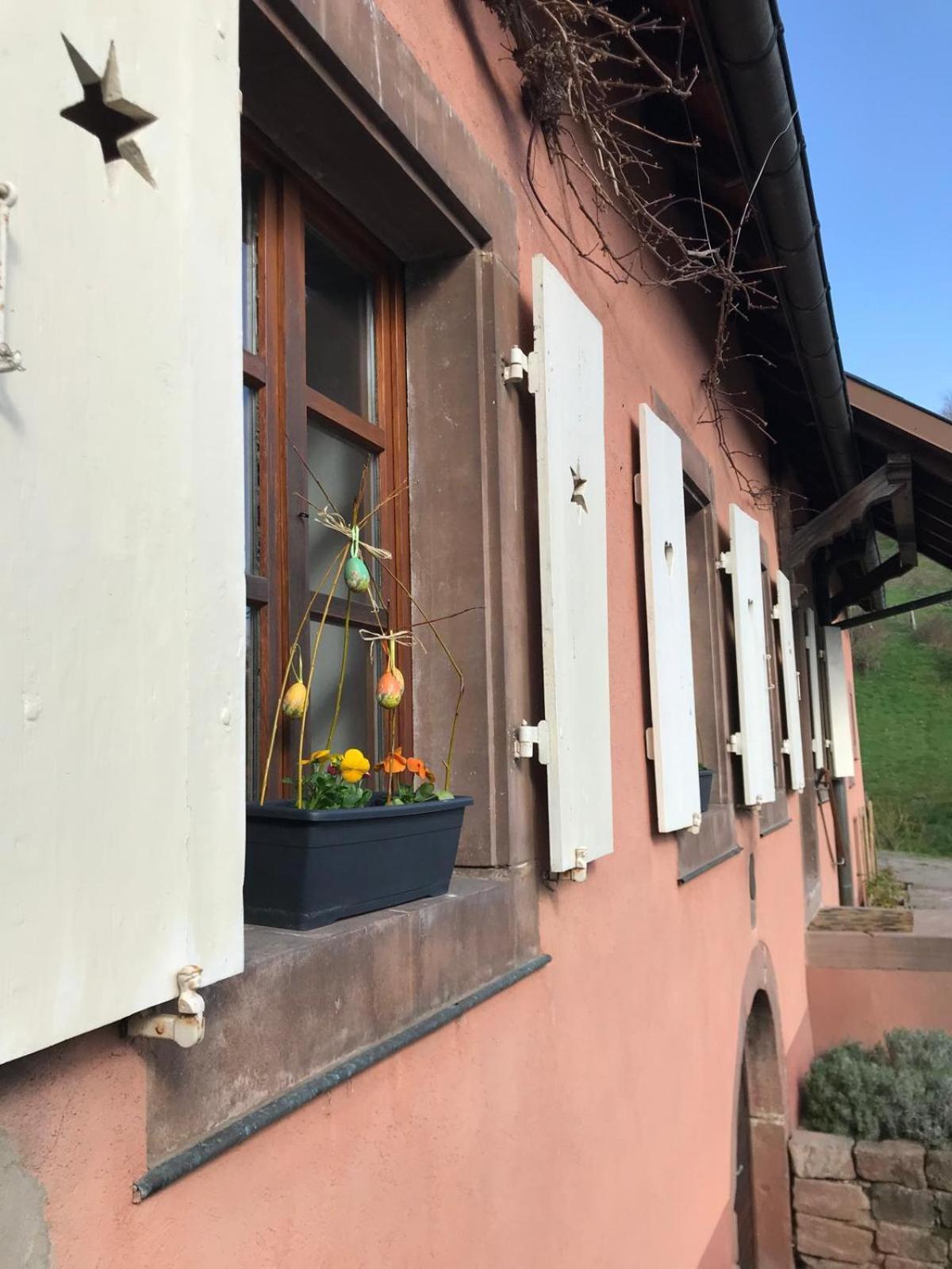 La Fermette Vosgienne De La Goutte Apartment Steige ภายนอก รูปภาพ